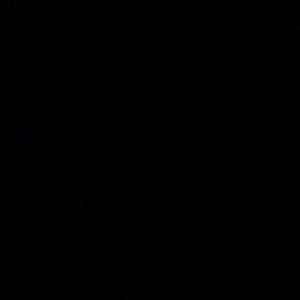 Meet your Posher, Ashlyn